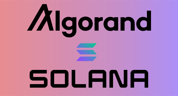Algorand vs Solana | Which Is The Better Blockchain?